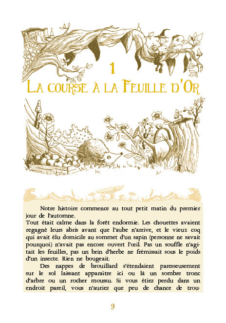 Automne, une saison chez les sorcières