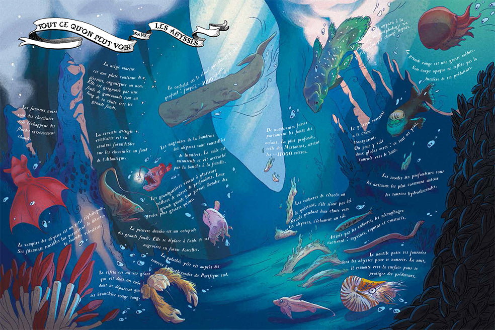 Insubmersible almanach de l'océan, écrit, illustré et annoté par les sorcières