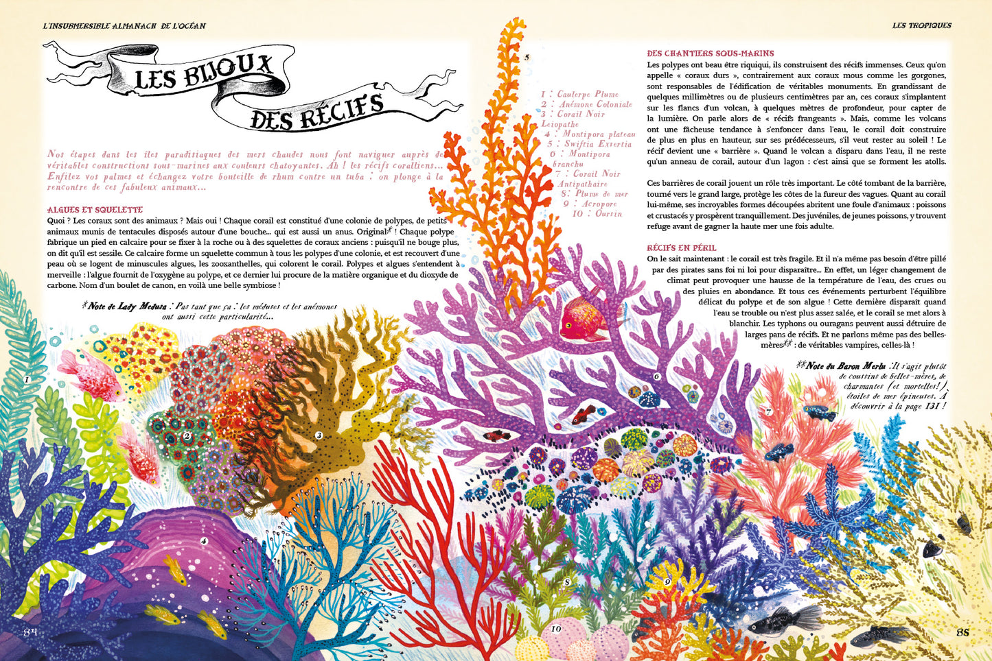 Insubmersible almanach de l'océan, écrit, illustré et annoté par les sorcières