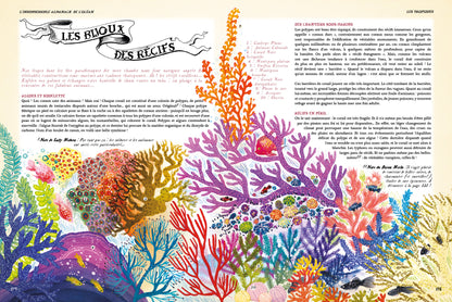 Insubmersible almanach de l'océan, écrit, illustré et annoté par les sorcières